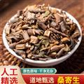 秦岭山区道地野生桑寄生 正品桑寄生槲寄生 新货精选