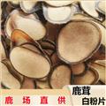 鹿茸 正品梅花鹿茸白粉片 梅花鹿茸 無排血 無染色 正品保證 誠信做人 良心做藥