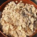 西洋参 加拿大西洋参软质片0.6-0.8cm 软质花旗参 承诺无掺假 无熏硫 诚信做人 良心做药