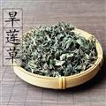 秦嶺山區(qū)道地野生墨旱蓮 正品旱蓮草 旱墨蓮 新貨精選 洗發(fā)