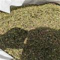 安祁名药正品中药材双肾草 一根葱