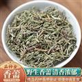 秦嶺山區(qū)野生香薷草 正品香茹香汝 牙刷草 新貨精選