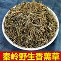 秦嶺山區(qū)野生香薷草 正品香茹香汝 牙刷草 新貨精選