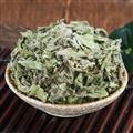 秦岭山区野生小蓟 正品刺儿菜 青青草 新货精选