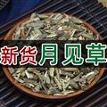 秦岭山区野生月见草 正品山芝麻月见草子 晚樱草待霄草山芝麻野芝麻夜来香