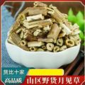秦岭山区野生月见草 正品山芝麻月见草子 晚樱草待霄草山芝麻野芝麻夜来香