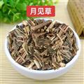 秦岭山区野生月见草 正品山芝麻月见草子 晚樱草待霄草山芝麻野芝麻夜来香