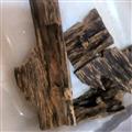 沉香 鎮(zhèn)店之寶 百年沉香樹 堪比黃金 專業(yè)經(jīng)營各種貴細(xì)產(chǎn)品 誠信做人 良心做藥