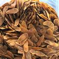 紅參 長白山 人參 6年老參 1.2紅參中片 選好貨到百新 誠信做人 良心做藥