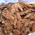 紅參 6年紅參 無糖1.6大片 產地批發(fā) 無作假 誠信做人 良心做藥