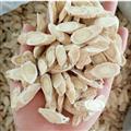 黃芪 黃芪瓜子片 大片 產(chǎn)地批發(fā) 選好貨到百信 誠信做人 良心做藥