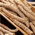 遠志 一級全抽芯手選貨 深山半野生種植 包全檢 產(chǎn)地批發(fā) 誠信做人 良心做藥