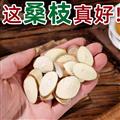 秦嶺山區(qū)道地野生桑枝 正品桑枝片 新貨精選