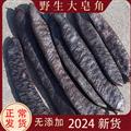 秦嶺山區(qū)道地野生皂角 正品大皂角 新貨精選