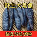 秦嶺山區(qū)道地野生皂角 正品大皂角 新貨精選