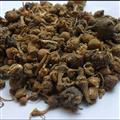 珠子參 珠子參統(tǒng)貨 珠兒參 鈕子七 扣子七 誠信做人 良心做藥