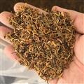 精選蜈蚣腳 高含量爪子  量大從優(yōu) 承諾不摻假 不加重  誠(chéng)信經(jīng)營(yíng) 誠(chéng)信做人 良心做藥