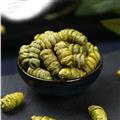 鐵皮石斛 新貨入市 一級入藥鐵皮石斛 濃膠質(zhì) 產(chǎn)地批發(fā) 誠信做人 良心做藥