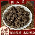貓爪草 家種貓爪草中選貨1.0-1.4 產(chǎn)地 河南省