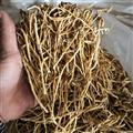 龍膽 龍膽草 北龍膽草 北龍膽草 統(tǒng) 產(chǎn)地遼寧