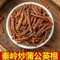 秦嶺野生蒲公英根 正品炒蒲公英根茶 