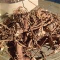 秦嶺山區(qū)道地托膜根 托莫根 托摩根 托膜根 拖莫根脫莫根托莫根 覆盆子根