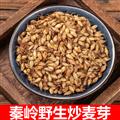 秦嶺山區(qū)道地生麥芽 炒麥芽 焦麥芽 新貨精選