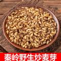 秦嶺山區(qū)道地生麥芽 炒麥芽 焦麥芽 新貨精選