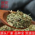 側柏葉干凈側柏葉粉新貨顏色青各種規(guī)格中藥材側柏葉