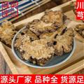 川芎選貨各種規(guī)格川芎片無硫熏川芎大貨供應川芎片
