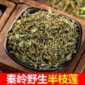 秦嶺山區(qū)道地野生半枝蓮 新貨精選 白花蛇舌草鐵樹葉