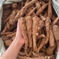 秦岭山区道地白芷 正品白芷个 新货精选
