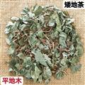 矮地茶 平地木 统货 干净无杂质矮地茶 平地木
