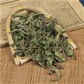 蒲公英 新货 颜色好 蒲公英 产地货源 量大从优 蒲公英片 
