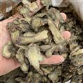 三七 三七片 純干貨 40頭切片 文山三七 產(chǎn)地 云南省