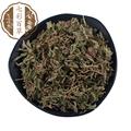 石上柏 地側(cè)柏  金龍草 龍鱗草 新貨顏色青 產(chǎn)地 浙江省