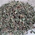 旱蓮草 墨旱蓮(旱蓮草)灰綠色統(tǒng)貨 旱蓮草 墨旱蓮(旱蓮草)灰綠色統(tǒng)貨 