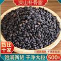 秦嶺山區(qū)道地野生補(bǔ)骨脂 正品黑故子鹽補(bǔ)骨脂 新貨精選