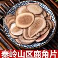 秦嶺山區(qū)道地鹿角片 正品養(yǎng)殖梅鹿鹿角片 新貨精選