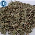 蒲公英 新貨家種蒲公英顏色好干凈無雜質(zhì) 產(chǎn)地 山東省