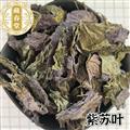 紫苏叶 全叶选货 叶子深紫色干净无杂 产地江苏
