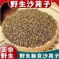 秦嶺山區(qū)道地野生沙苑子 正品沙宛子 新貨精選