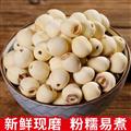 秦嶺山區(qū)道地白蓮子 正品去芯無(wú)芯蓮子