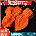 秦嶺山區(qū)野生燈籠果錦燈籠掛金燈燈籠草紅姑娘
