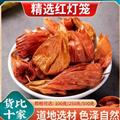 秦嶺山區(qū)野生燈籠果錦燈籠掛金燈燈籠草紅姑娘
