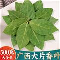 精選廣西香葉 正品香葉大料 新貨精選
